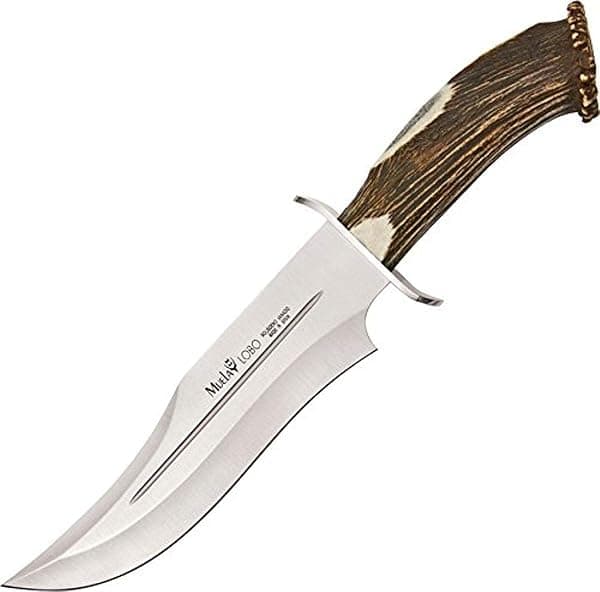 MUELA LOBO-23S Cuchillo de Caza Mango Asta Ciervo Rojo con Funda de Cuero, 23 cm