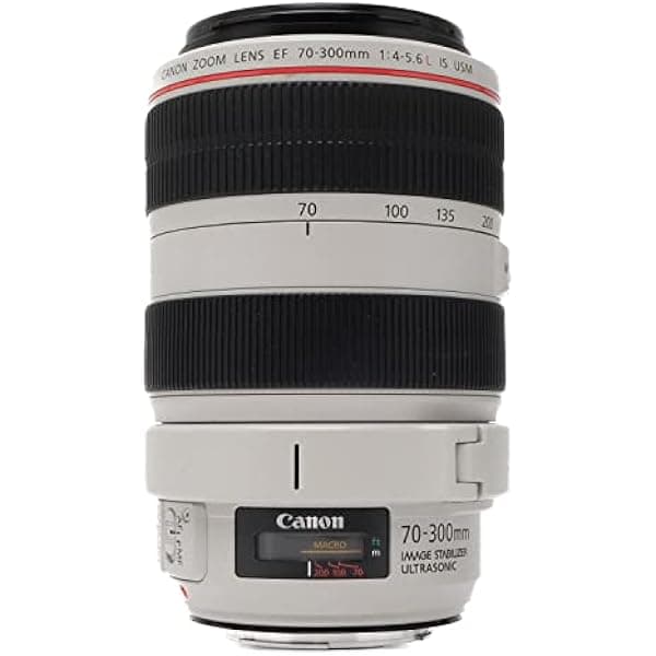 Canon EF 2.756-11.811 in f4-5.6 L es lentes USM