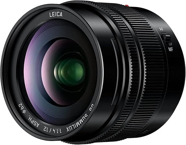 Panasonic LUMIX H-X012E 0.472 in Leica DG Lente de Cámara Gran Angular - Negro