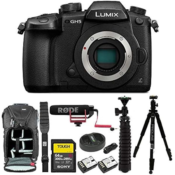 Panasonic GH5 Lumix 4K sin espejo, 20.3 MP, Wi-Fi + Bluetooth, LCD de 3.2" con VideoMic Go Deluxe Pro Bundle DC-GH5KBODY