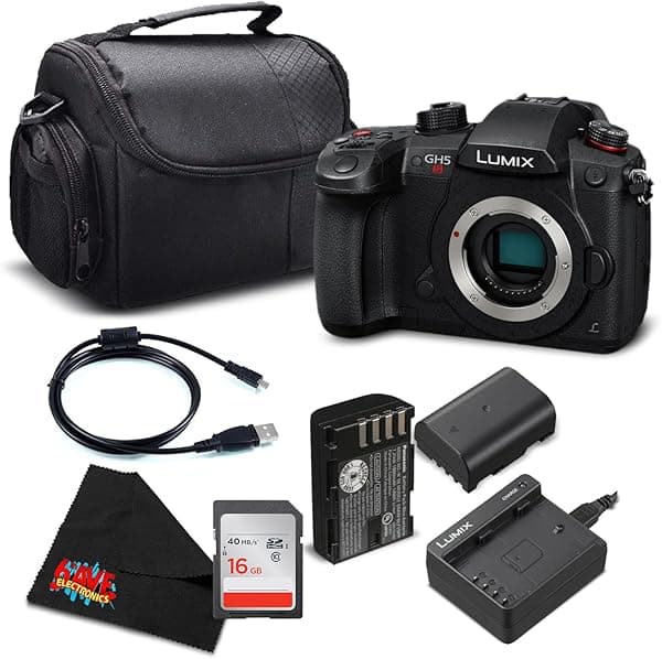 Panasonic Lumix DC-GH5S - Cámara digital sin espejo de cuatro tercios DC-GH5S - Paquete de nivel plateado, versión internacional