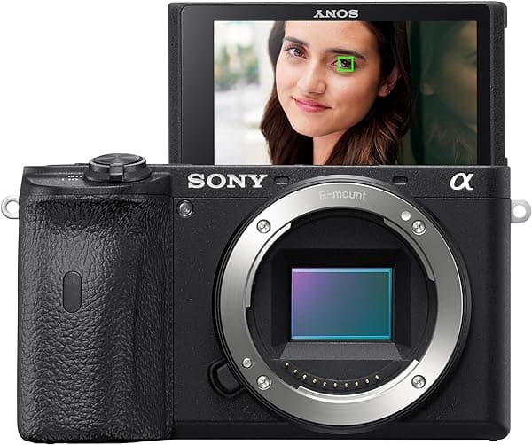 Sony Cámara sin espejo Alpha A6600 ILCE6600/B