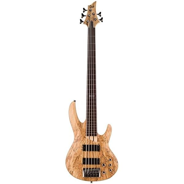 ESP LTD B-205SM FL Fretless Spalted Maple - Bajo de 5 cuerdas, satén natural LB205SMFLNS