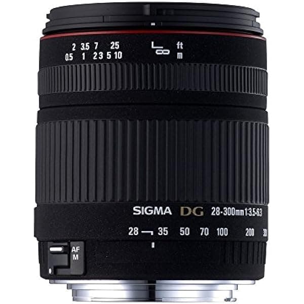 Sigma 28-300mm f/3.5-6.3 DG Macro Lente Asférica para Cámaras Nikon AFD 795306