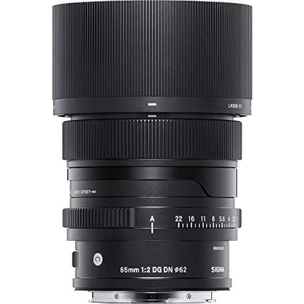 Sigma 65mm F2.0 DG DN para Montura L 353969
