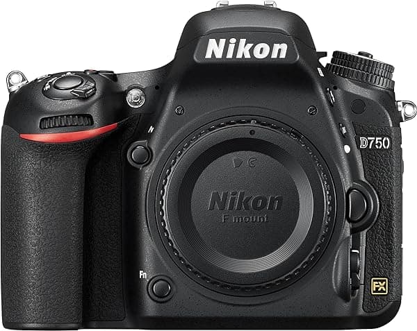 Nikon D750 Cuerpo Cámara Réflex Digital Formato FX (Modelo 1543)