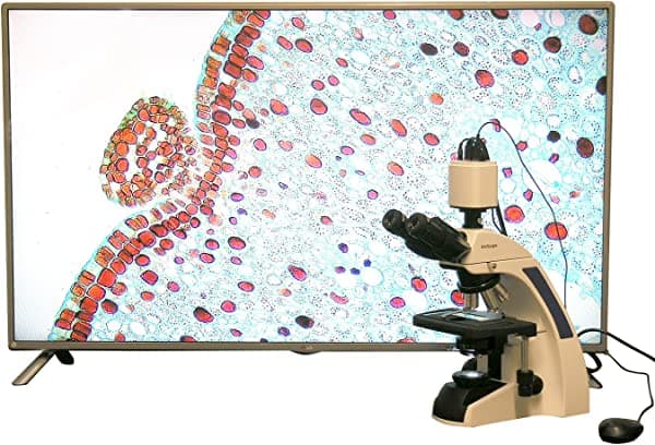 AmScope T720-HD18 40X-1000X Plan Infinity Kohler - Microscopio compuesto de laboratorio con cámara HDMI 1080