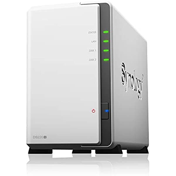 Synology DS220j - Paquete de 2 bahías de 24 TB con 2 lobo de hierro Seagate de 12 TB