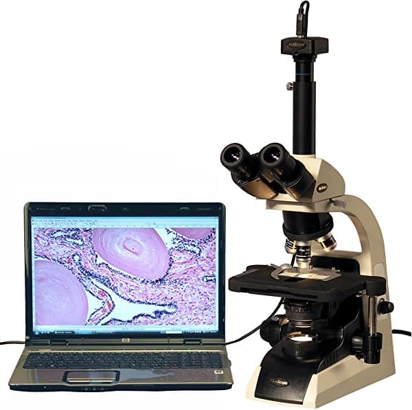 AmScope T650C-14M microscopio compuesto trinocular profesional digital, aumento 40X-2500X, oculares widefield WF10X y WF25X, objetivos Plan infinity, brightfield, condensador Abbe, platina mecanica de doble capa, incluye camara de 14 MP con lente de reduccion y software