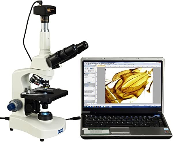 Omax 40 x -2500 X trinocular Compuesto Siedentopf LED Microscopio con 14 MP cámara digital M8311Z-C140U