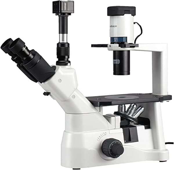 AmScope Microscopio invertido de contraste de fase 40X-900X con cámara de 8MP IN400TA-8M