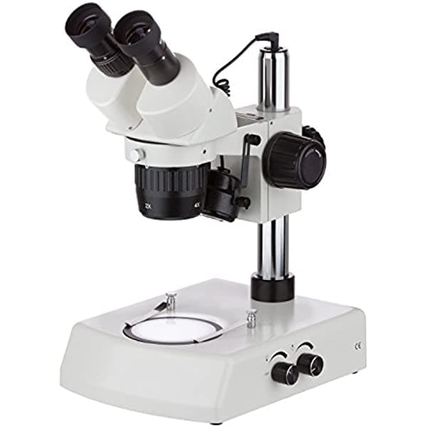 AmScope swdg-2b24-led 20 x -40 x Super WIDEFIELD Pilar Soporte Microscopio estéreo con luces LED superior e inferior