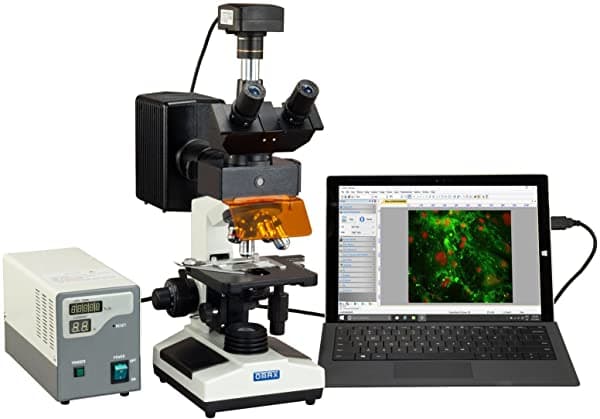 Omax 40 x -1600 X 5 MP USB 3.0 epi-fluorescence Digital trinocular Compuesto Lab biológica microscopio M837FLR-C50U3