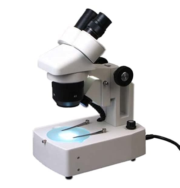 Omax 20 x -40 x -80 X Digital Binocular Microscopio estéreo con doble sistema de luces y USB para cámara digital G325