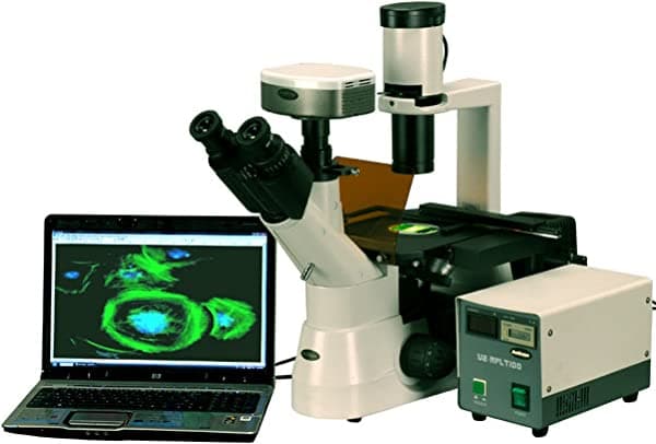 AmScope in300tc-fl-5mccd 40 x -1000 x Epi fluorescente tela Cultura Invertido Microscopio + cámara CCD de 5 MP