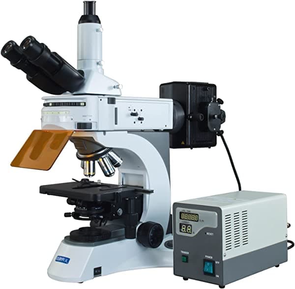 OMAX profesional 40X-1000X de alta calidad, microscopio epifluorescente Infinite