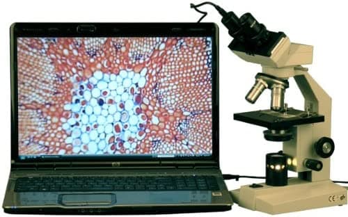 AmScope B100B-E compuesto Microscopio Binocular Digital, 40 x -2000 X Ampliación, brightfield, iluminación, Abbe Condensador De Tungsteno, Plain etapa, incluye software de 0, 3 MP cámara y