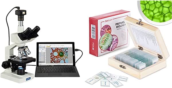 OMAX M83EZ-C50U 40X-2500X microscopio compuesto trinocular digital con cámara digital de 5 MP y juego de portaobjetos preparados AmScope PS25 para educación en ciencias biológicas básicas, 25 portaobjetos