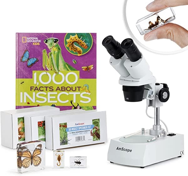AmScope Microscopio estéreo de estudiante 20X-40X con kit de 9 piezas de muestras de insectos 3D y cámara digital opcional SE306R-BKI-INST