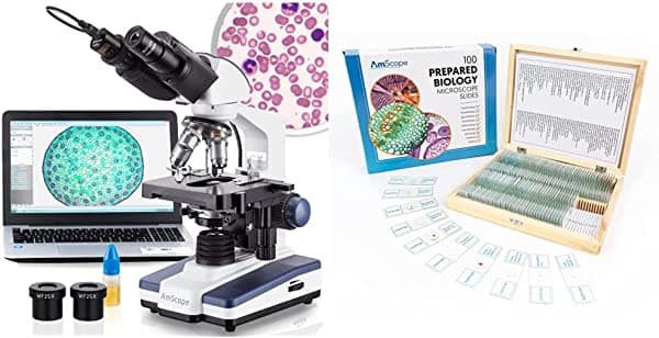 AmScope B120C-E1 40X-2500X LED Biológico Compuesto Binocular Microscopio y PS100A Preparado Microscopio Slide Set para Educación Básica de Ciencias Biológicas, 100 diapositivas, Set A, incluye estuche de madera ajustable