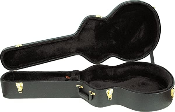 Ibanez ael50 C AEL y EW Series Funda para guitarra