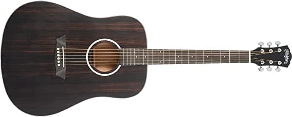 Washburn Deep Forest Ebony D Guitarra Acústica, Ébano Rayas DFED