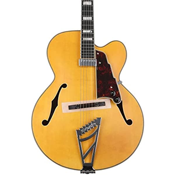 D'Angelico Premier EXL-1 - Guitarra de cuerpo hueco, color rubio miel satinado DAPEXL1SHBT