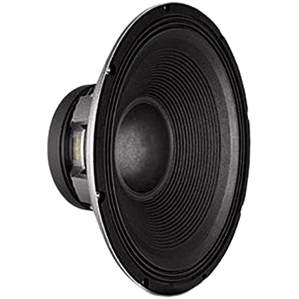 Selenium Subwoofer 18Sws1000 De 18 Pulgadas Color Negro