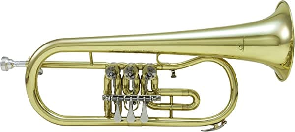 DIMAVERY Filicorno BB (26503665)