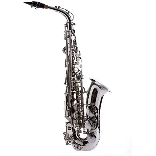 Hawk WD-S415 Student - Saxofón alto con funda, boquilla y caña, niquelado