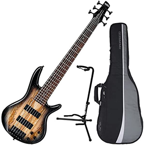 Ibanez GSR206SM bajo eléctrico de 6 cuerdas (Gris Natural Burst) con tapa de arce spalted, con gig bag y soporte GSR206SM BUNDLE