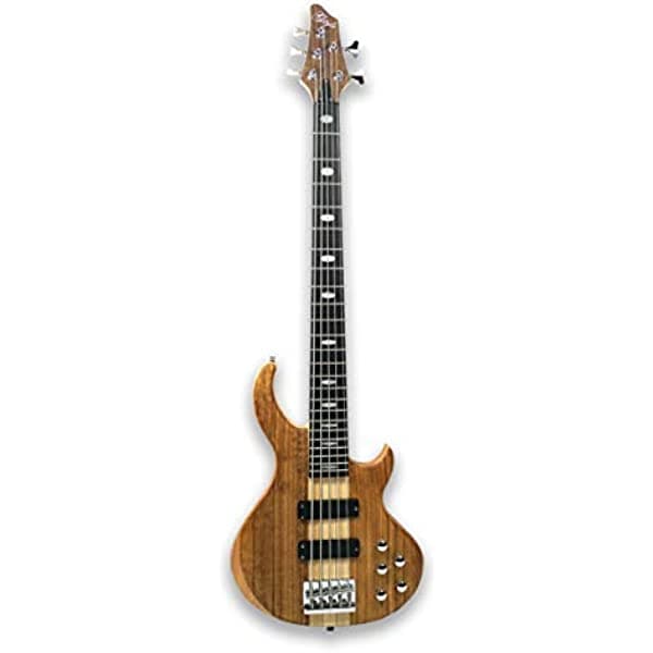 YINGE Guitarra eléctrica de bajo de 5 cuerdas Millettia Laurentii + Okoume cuerpo arce cuello KB5F-200C-Gold