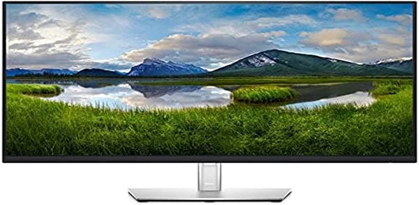 Dell TFT P3221D 31.5IN Negro adaptador e inversor de corriente DELL-P3221D