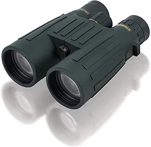 Steiner Observer - Binoculares de caza de 8 x 56 pulgadas, rellenos de nitrógeno, imágenes claras y nítidas, diseño ligero de prisma de techo, el modelo de nivel básico perfecto para caza en condiciones de poca luz, verde 2335