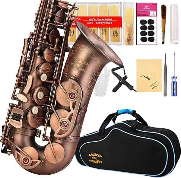 Kit de cuidado para saxofón con 11 reeds, 8 para saxofón alto cojines, funda, Glory E Flat