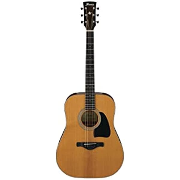 Ibanez Artwood Vintage AVD60 Guitarra acústica