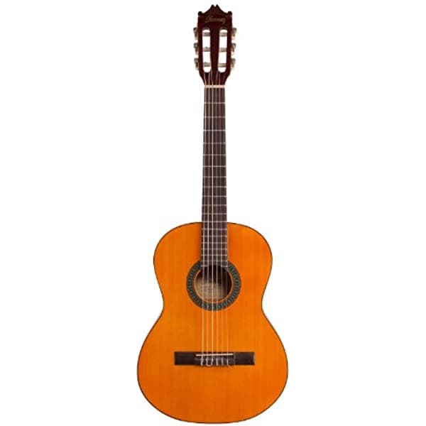 Ibanez 6 Cuerdas Guitarra Clásica, Derecha, Natural (GA2)