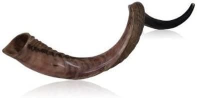 30"-32" mitad Pulido La mitad Natural Kudu Cuerno shofar transparente Buena Calidad de sonido