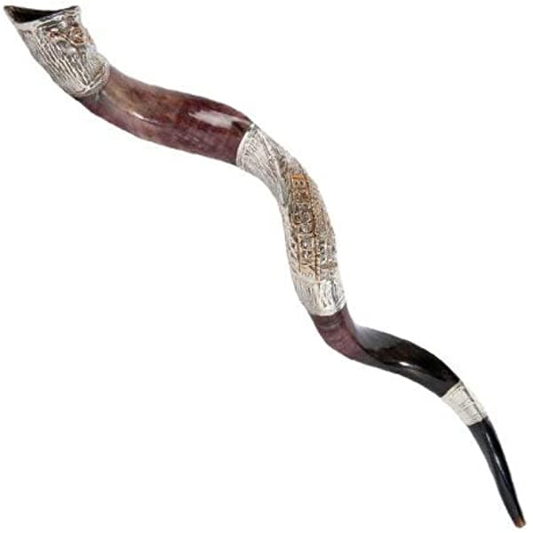 Bañado En Plata Kosher yeminite Kudu shofar 35" Approx Judaica Israel