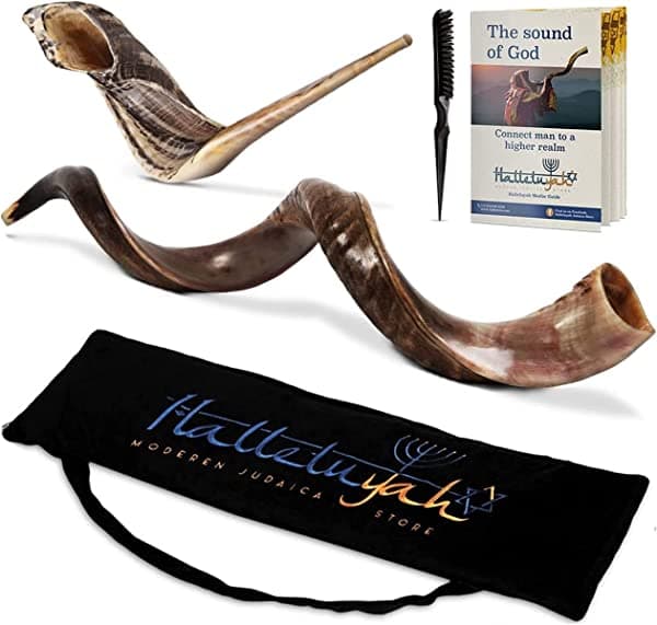 HalleluYAH 28"-32" Yemenite kudu Shofar de Israel más cuerno de carnero de bono gratuito