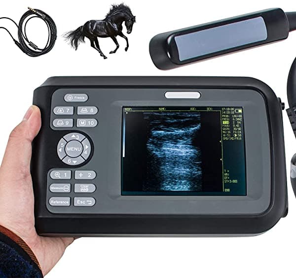 Soniker Escáner Digital U_Ltrasound Mano Digital Palm Smart U_Lt_R_Asou_Nd Escáner Máquina Con Sonda Rectal Para Caballos/Vacas/Porcinos/Gatos/Perros/Ovejas Uso De Ee.Uu. Envío 192240742847-MX