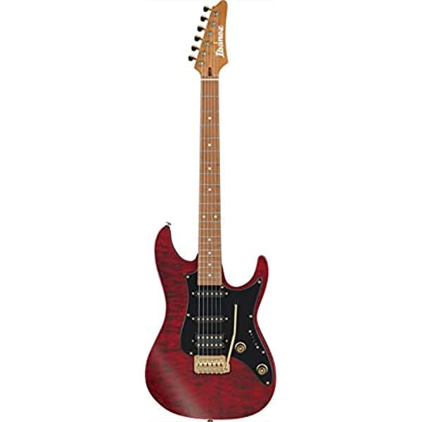 Ibanez Scott Lepage Signature Guitarra Eléctrica De 6 Cuerdas Con Bolsa 22 Trastes Az Oval C Cuello Diapasón De Arce Tostado Pasivo Tapa De Arce Acolchada Cuerpo De Tilo Americano Transparente Rojo Mate SLM10-TRM