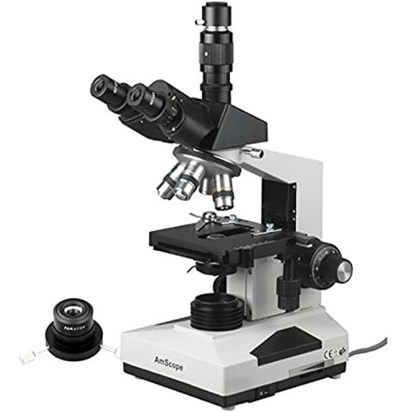 AmScope T490B-30W-DK Microscopio Compuesto Trinocular WF10X y Ocular WF20X Ampliación 40X-2000X Brightfield/Darkfield Iluminación Halógena de 30 W de Un Foco Condensador Abbe de Doble Capa Platina Mecánica Cabezal Deslizante Óptica de Alta Resolución