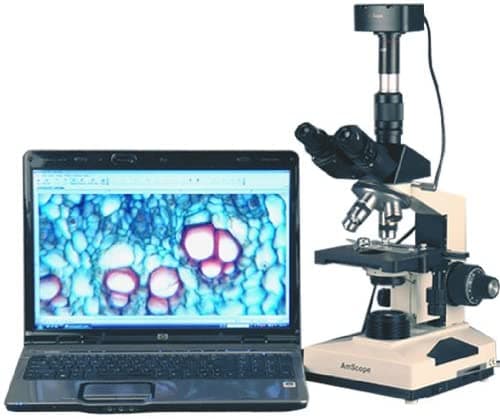 AmScope T490B-10MA Microscopio Trinocular Compuesto Digital, Ocular WF10X y WF20X, 40X-2000X Aumentos, Iluminación Halógena de Campo Claro, Condensador Abbe, Platina Mecánica de Doble Capa, Cabezal Deslizante, Óptica de Alta Resolución, Incluye Cámara de 10.7MP con Lente de Reducción y Software
