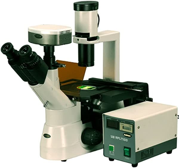 AmScope IN300TC-FL-5MF Microscopio Trinocular Invertido de Fluorescencia Digital de Larga Distancia de Trabajo 40X-1000X Oculares WH10X y WH25X Objetivos de Contraste de Fases Iluminación Halógena 30W Condensador Abbe 0.3 NA Platina Mecánica 110V Incluye Cámara de Video de Fluorescencia 5MP Refrigerada Peltier y Software