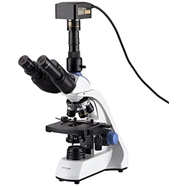 AmScope T250C-18M3 Microscopio Compuesto Trinocular LED 40X-2500X con Platina Mecánica de Doble Capa 3D con Cámara USB3.0 de 18 MP