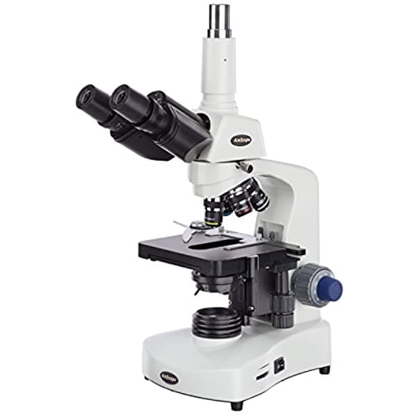 AmScope T340B-LED Siedentopf Microscopio Trinocular Compuesto 40X-2000X de ampliación, brightfield, oculares WF10X y WF20X, iluminación LED, condensador Abbe, platina mecánica de doble capa