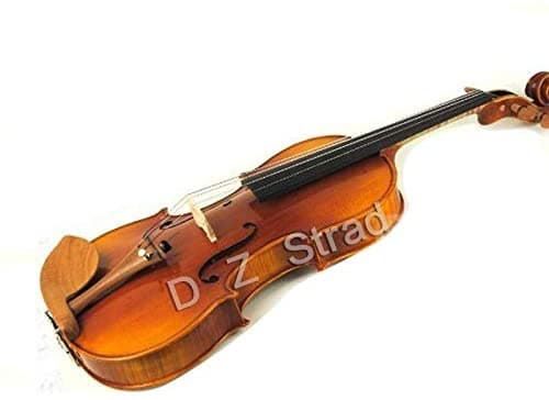 D Z Strad Violín Modelo 220 Con Cuerdas Dominantes Lazo Estuche Colofonia Y Reposambros - Tono Transparente Abierto (4/4 - Tamaño)