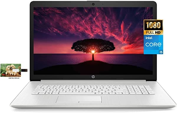 Hp 17 Computadora Portátil De Negocios Intel Core I5-1135G7 Pantalla Ips Fhd De 17.3 Pulgadas Windows 11 Pro 16 Gb De Ram 1 Tb Ssd Wi-Fi 6 Bluetooth Cámara Web Teclado Retroiluminado Tarjeta Usb De Tela De 32 Gb