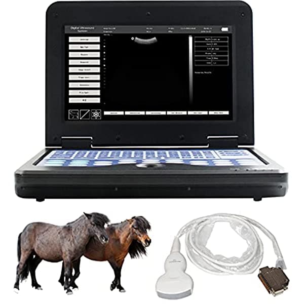 Contec Cms600P2 Veterinario De Uso Portátil B-Ultra Sound Scanner Machine Para Uso De Caballo/Equino/Vaca/Ovejas